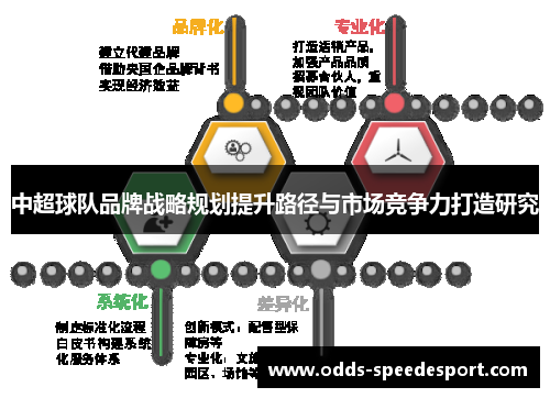 中超球队品牌战略规划提升路径与市场竞争力打造研究