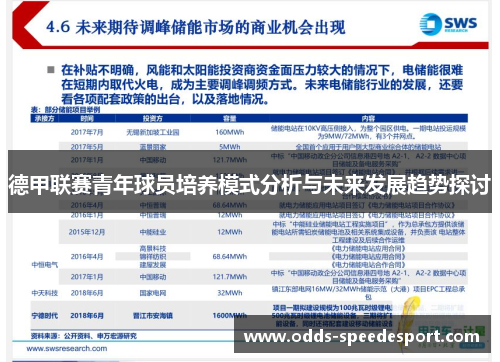 德甲联赛青年球员培养模式分析与未来发展趋势探讨