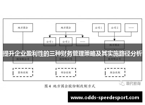 提升企业盈利性的三种财务管理策略及其实施路径分析