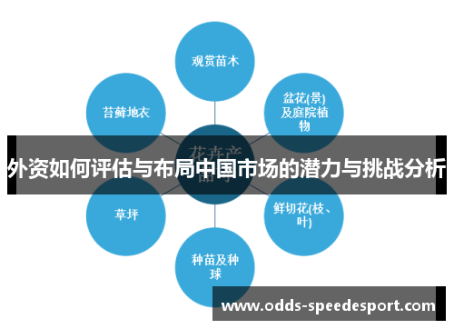 外资如何评估与布局中国市场的潜力与挑战分析