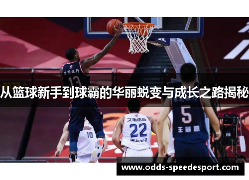 从篮球新手到球霸的华丽蜕变与成长之路揭秘