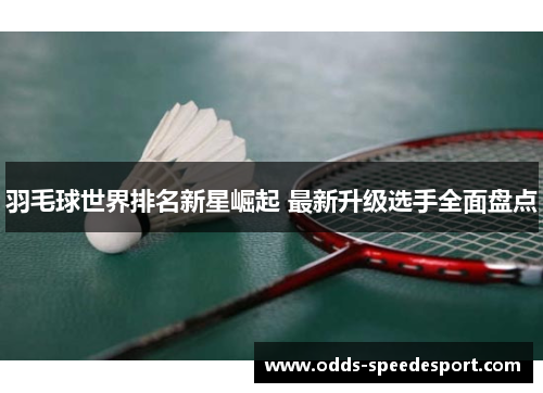 羽毛球世界排名新星崛起 最新升级选手全面盘点