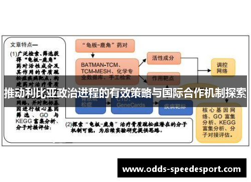 推动利比亚政治进程的有效策略与国际合作机制探索