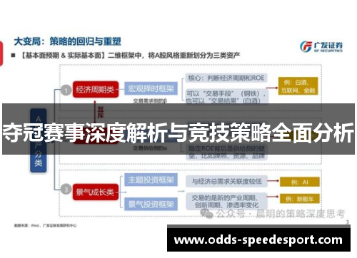 夺冠赛事深度解析与竞技策略全面分析