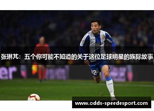 张琳芃：五个你可能不知道的关于这位足球明星的族际故事