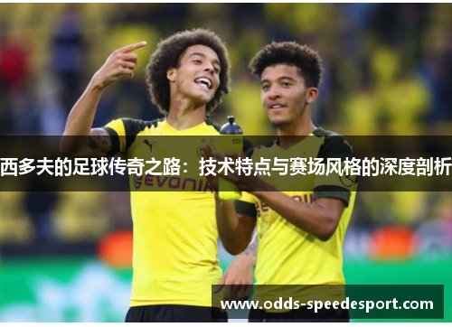 西多夫的足球传奇之路：技术特点与赛场风格的深度剖析